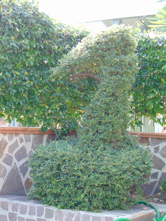 Villa Celeste B&B Pontecagnano Esterno foto